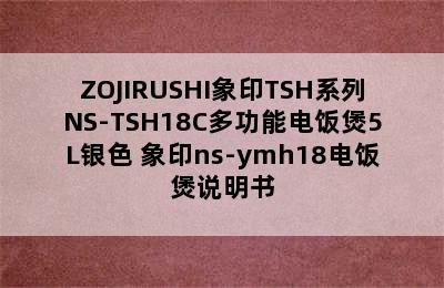 ZOJIRUSHI象印TSH系列NS-TSH18C多功能电饭煲5L银色 象印ns-ymh18电饭煲说明书